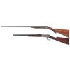 Image 2 : Two Long Guns