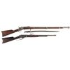 Image 1 : Two Rifles
