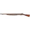 Image 2 : Unmarked Conversion Percussion Musket with Sling