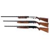 Image 2 : Three Shotguns