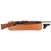 Image 1 : One Shotgun and One Pistol