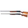 Image 2 : Two Shotguns