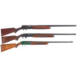 Three Semi-Automatic Shotguns