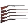 Image 1 : One Air Rifle and Four Shotguns