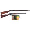 Image 1 : Two Rifles