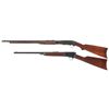 Image 2 : Two Rifles