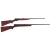 Image 1 : Two Winchester Semi-Automatic Rifles