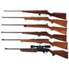 Image 2 : Six Rifles