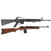 Image 1 : Two Semi-Automatic Rifles