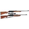 Image 1 : Two Semi-Automatic Sporting Rifles