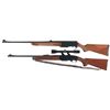 Image 2 : Two Semi-Automatic Sporting Rifles