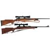 Image 1 : Two Scoped Bolt Action Sporting Rifles