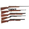 Image 1 : Three Rifles and Two Pellet Rifles