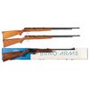 Image 1 : Three 22 Caliber Semi Automatic Rifles