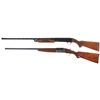 Image 2 : Two Shotguns