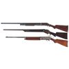 Image 2 : Three Shotguns