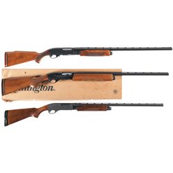 Three Shotguns