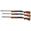 Image 2 : Three Shotguns