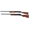 Image 2 : Two Shotguns