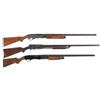 Image 1 : Three Slide Action Shotguns