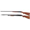 Image 2 : Two Winchester Shotguns