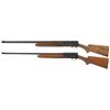 Image 2 : Two Belgian Browning Auto-5 Semi-Automatic Shotguns