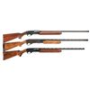 Image 1 : Three Remington Shotguns