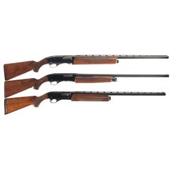 Three Winchester Shotguns