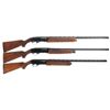 Image 1 : Three Winchester Shotguns
