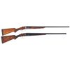 Image 1 : Two Side by Side Shotguns