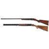 Image 2 : Two Shotguns