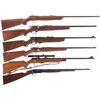 Image 1 : Six Sporting Rifles