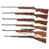 Image 2 : Six Sporting Rifles