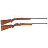 Image 1 : Two Winchester Bolt Action Rifles