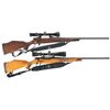 Image 1 : Two Scoped Weatherby Bolt Action Rifles