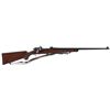 Image 1 : Custom Springfield Armory Model 1922M1 Bolt Action Rifle