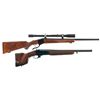 Image 1 : Two Long Guns