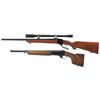 Image 2 : Two Long Guns