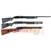 Image 1 : Two Slide Action Shotguns and A Carbine