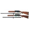 Image 2 : Two Remington Shotguns