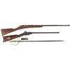 Image 1 : Two Long Guns