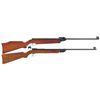 Image 1 : Collection of Five BB and Pellet Guns