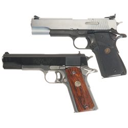 Two Semi-Automatic 10mm Pistols