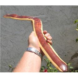 Australian Boomerang