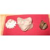 Image 1 : PreColumbian Collection