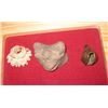 Image 2 : PreColumbian Collection