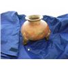 Image 1 : Parrot Pot