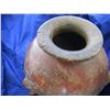 Image 2 : Parrot Pot