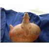Image 3 : Parrot Pot