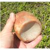 Image 2 : Discoidal